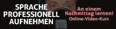 Banner Sprache professionell aufnehmen 234 x 60