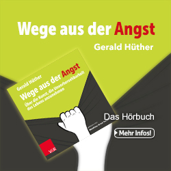 Banner-Gerald– 250×250