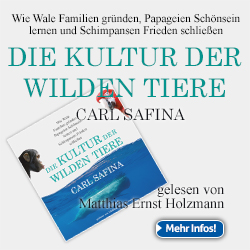 Banner-DIE KULTUR 250 x 250