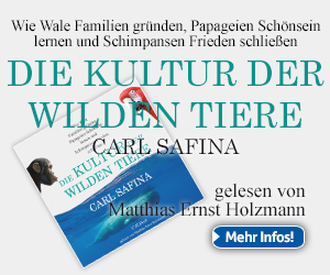 Banner-DIE KULTUR 300 x 250