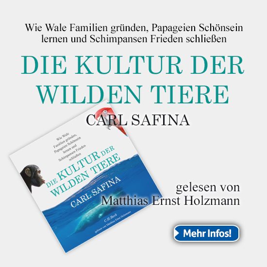 Banner-DIE KULTUR 550×550