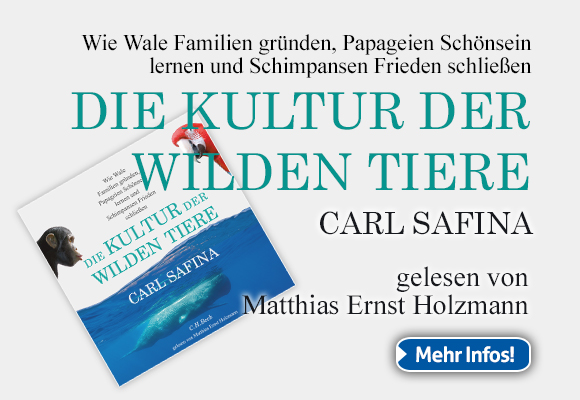 Banner-DIE KULTUR 580 x 400