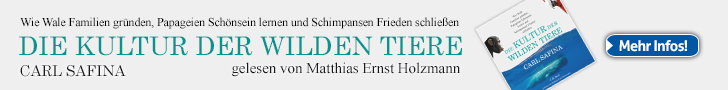 Banner-DIE KULTUR 728 x 90